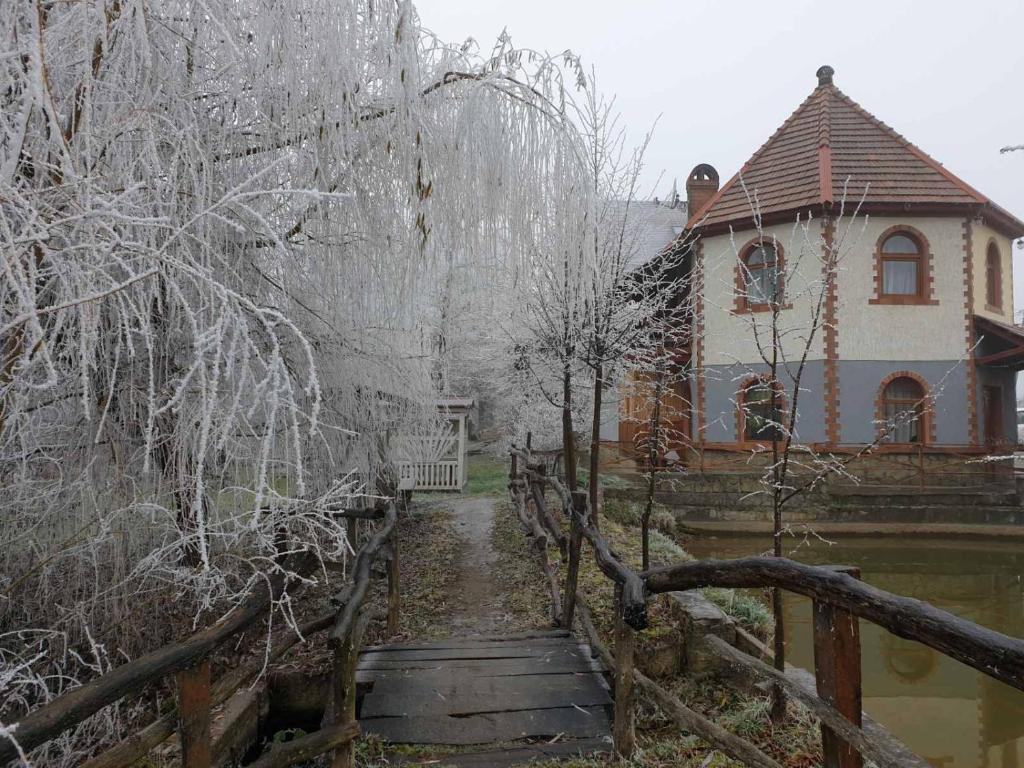 Ворота Карпат photo 2