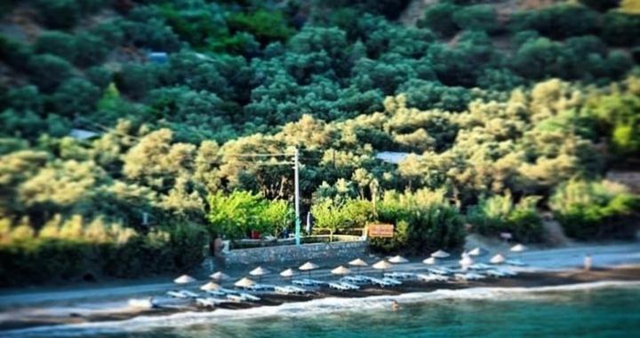 Datca Masal Gibi Plaj&Restaurant photo 1