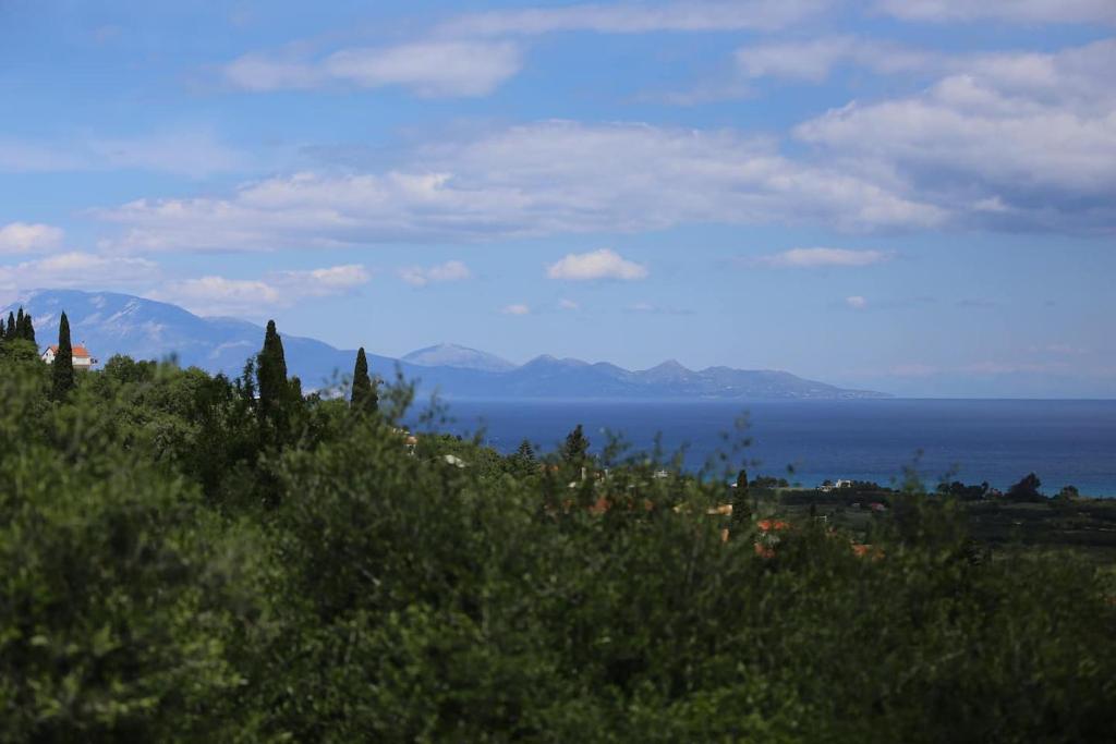 -Grand house Tassos- photo 2