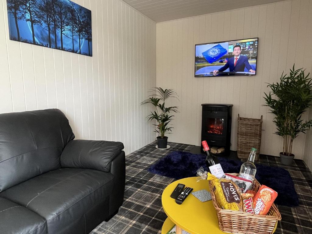 Pine Boutique Lodge with hot tub for couples & dog photo 3
