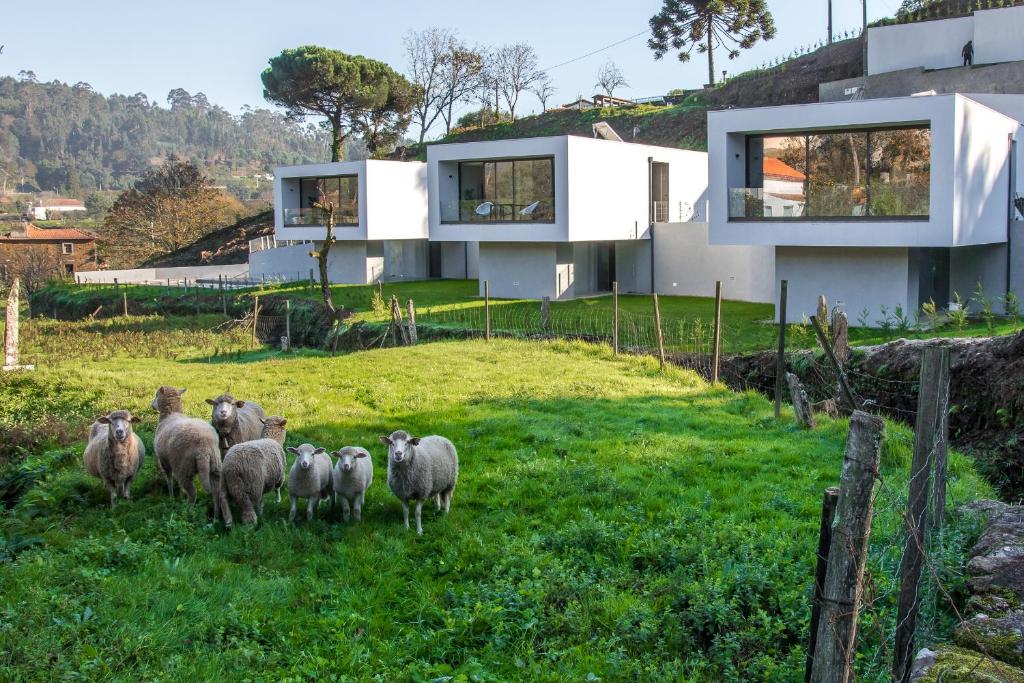 Viana do Castelo - Amonde Village - Casa L - Disfrute da Natureza photo 1