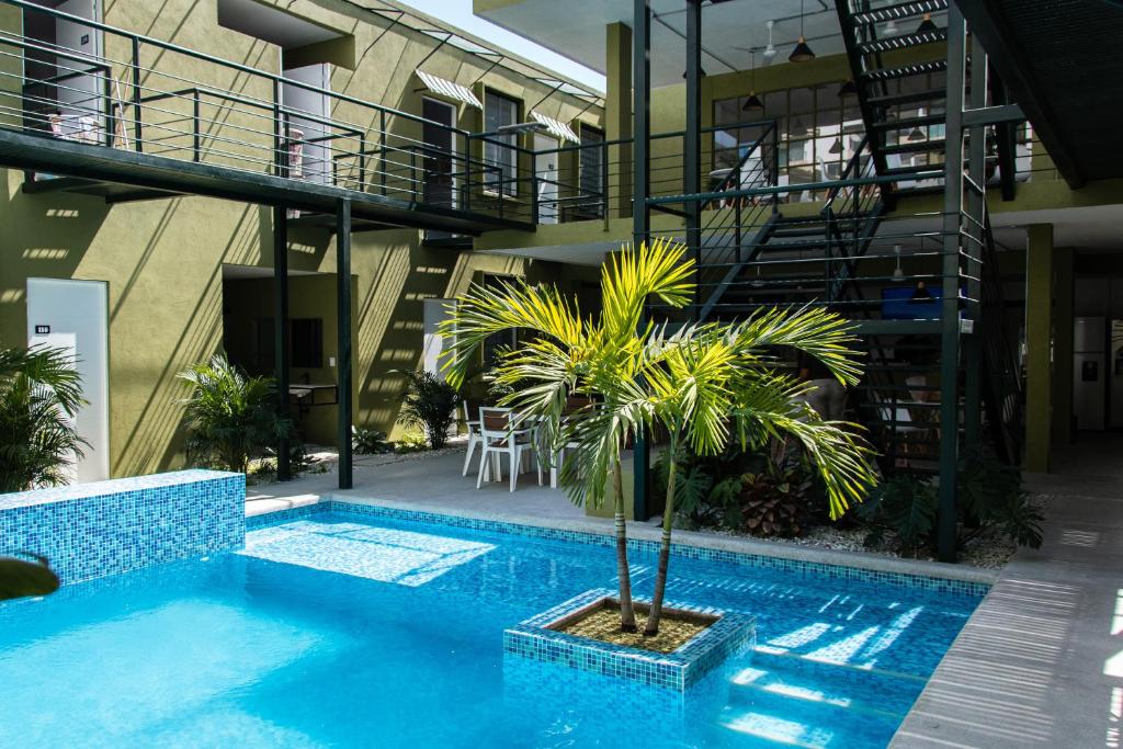 OASIS TROPICAL HOTEL photo 3