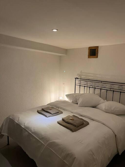 Appartement rénové photo 4