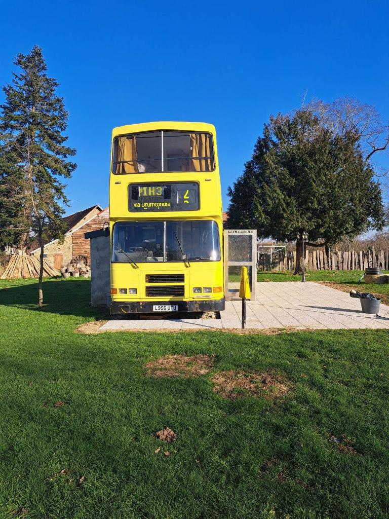 The Big Yellow Bus photo 3