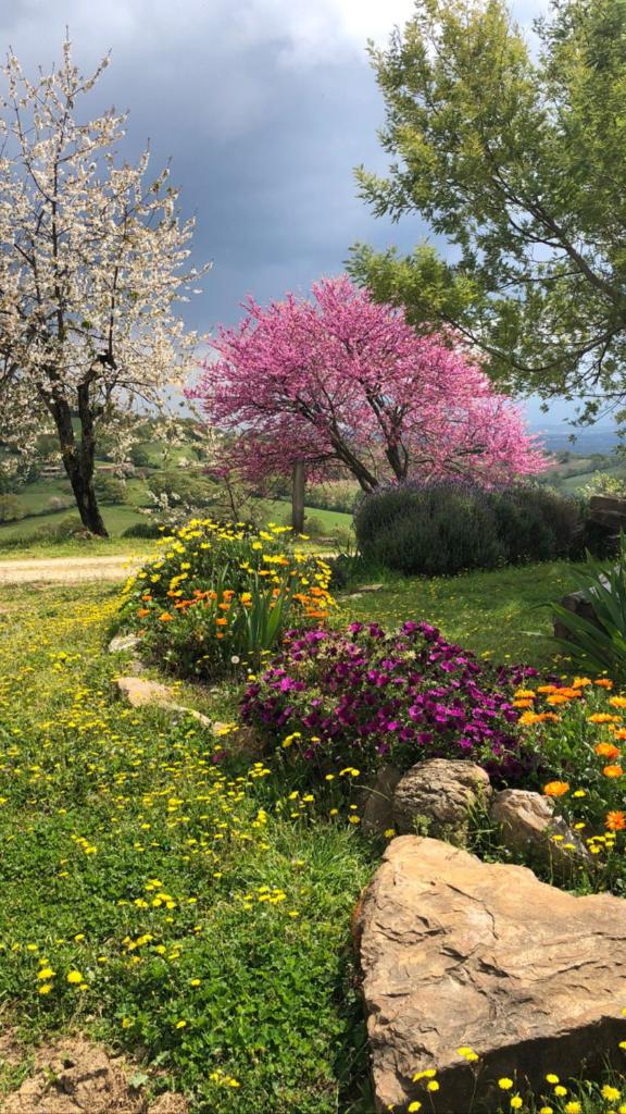agriturismo Poggio Monte Saturnia photo 2