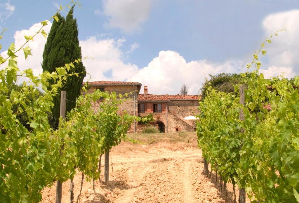 Villa Cenerentola Apartments photo 1