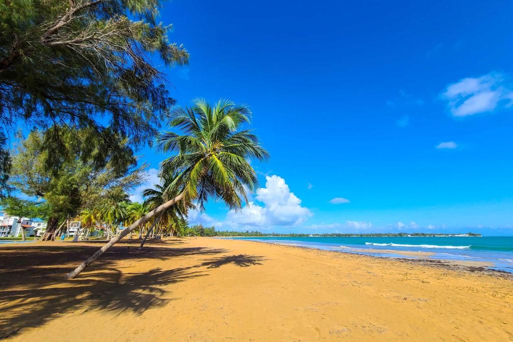 Coastal Puerto Rican Apartment - Walk to Beach! photo 1