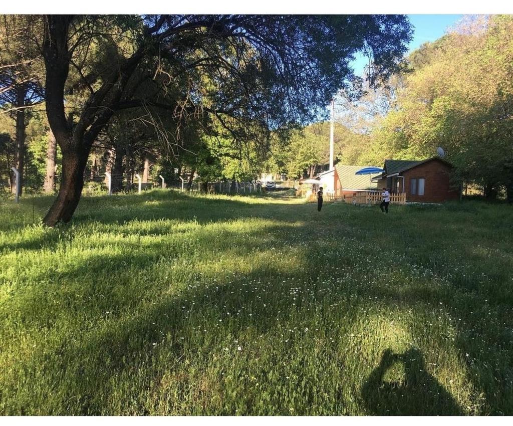 Nilüfer evi photo 1