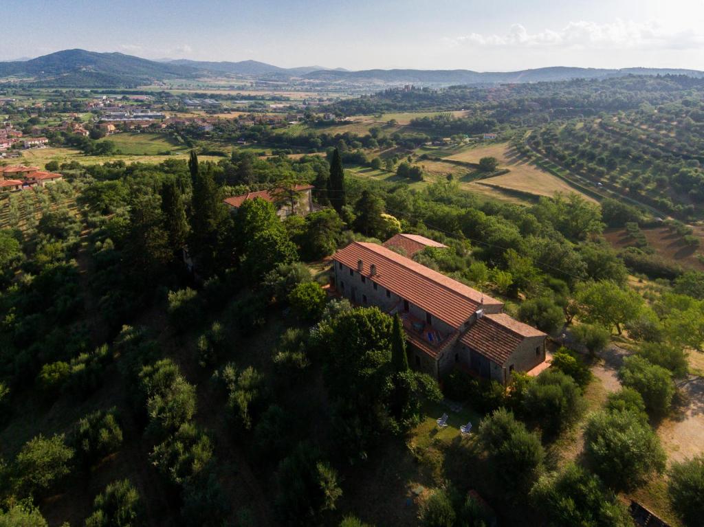 Agriturismo Il Mulino delle canutole photo 3