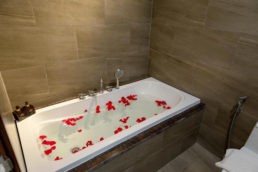 Kiwi Hotel & Apartments