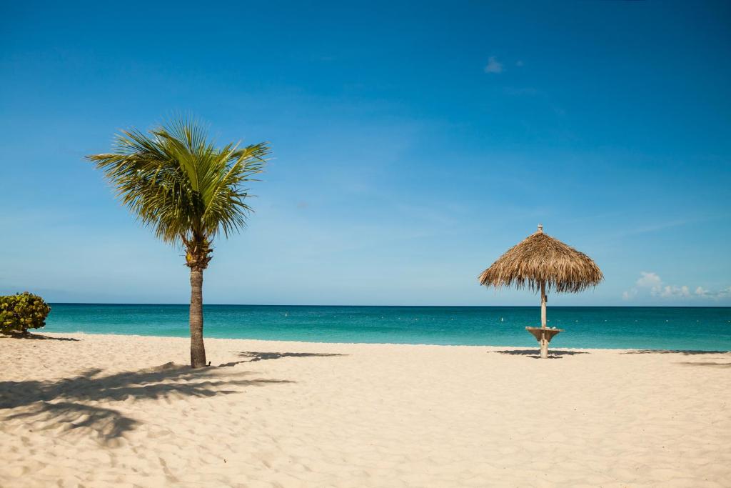 New Beautiful Aruban Studio Oceanfront photo 3