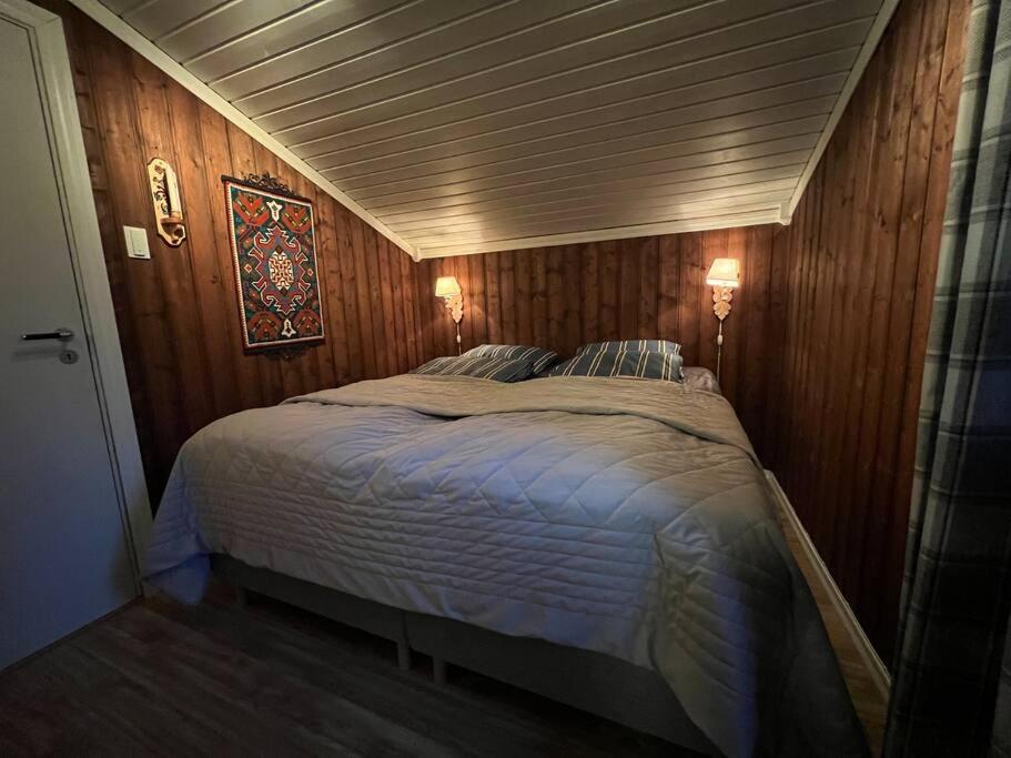 Koselig hytte med uteplas ved Hallingdalselva photo 1