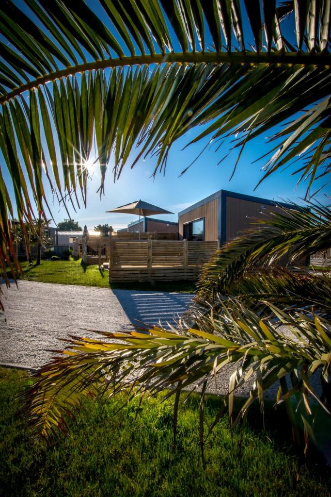 M&V Resort Camping photo 1