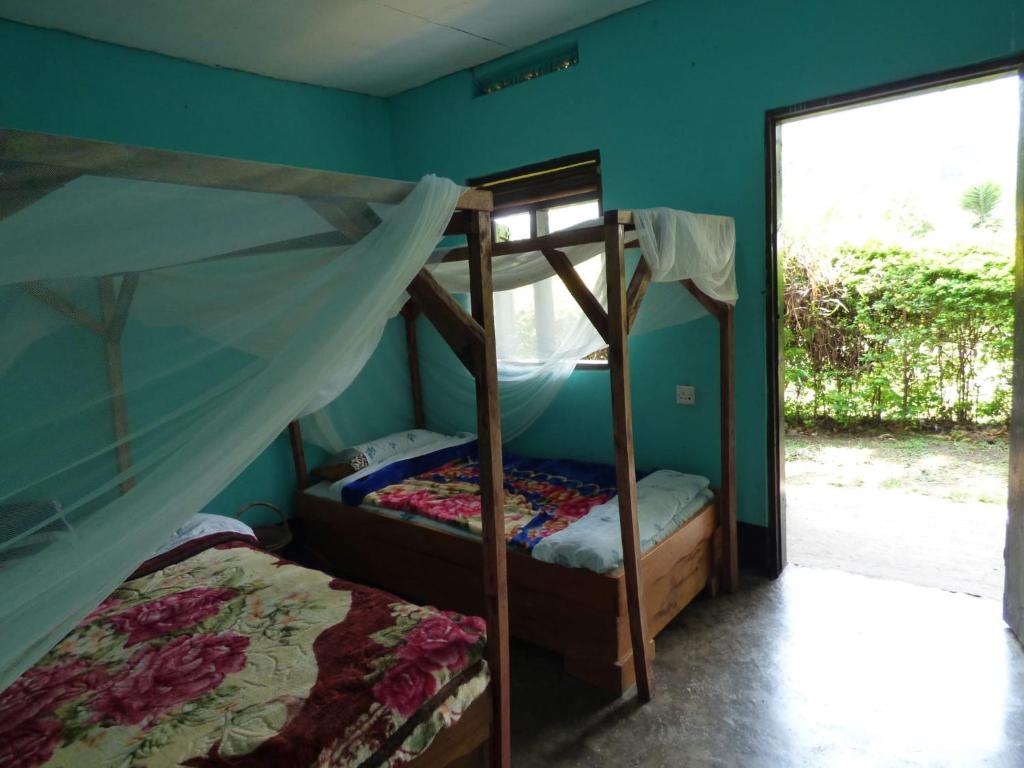 Rwenzori Turaco View Camp photo 3