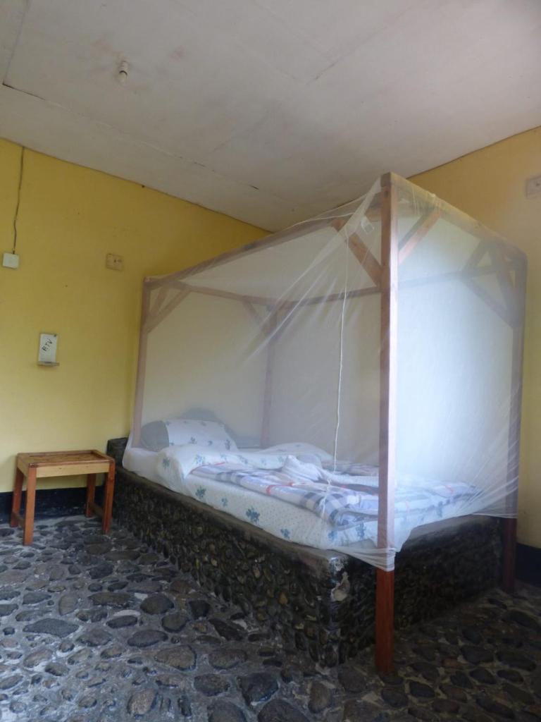 Rwenzori Turaco View Camp photo 4