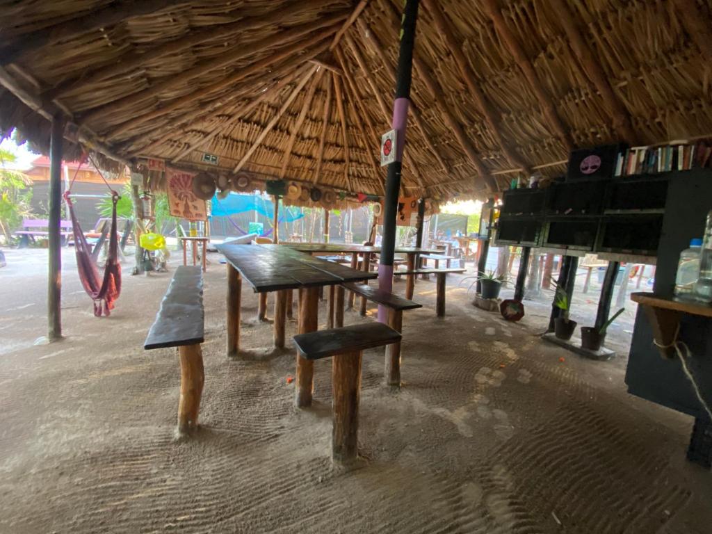 Balam Camping & cabañas photo 3