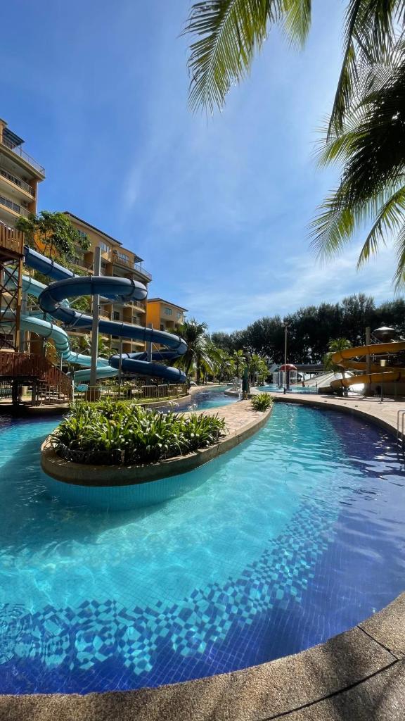 GOLD COAST MORIB @ 3346 photo 4