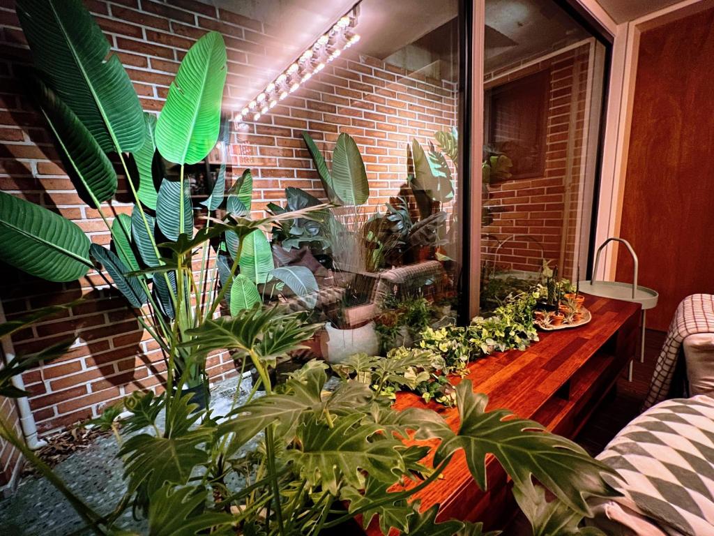 HHZib, homestay on a hill in the heart of Seoul photo 4