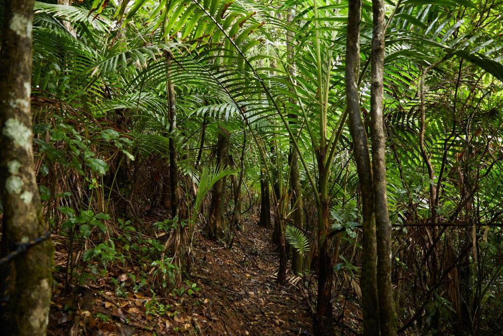 SELVA by DW photo 3