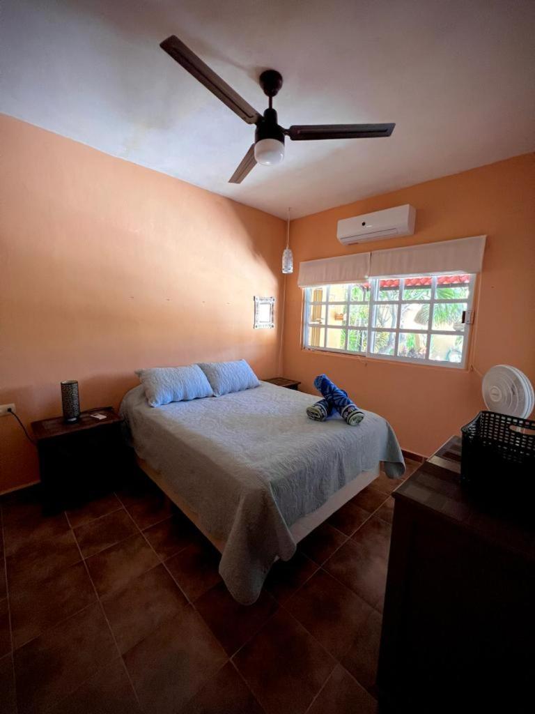 Casa Tortuga Verde photo 1