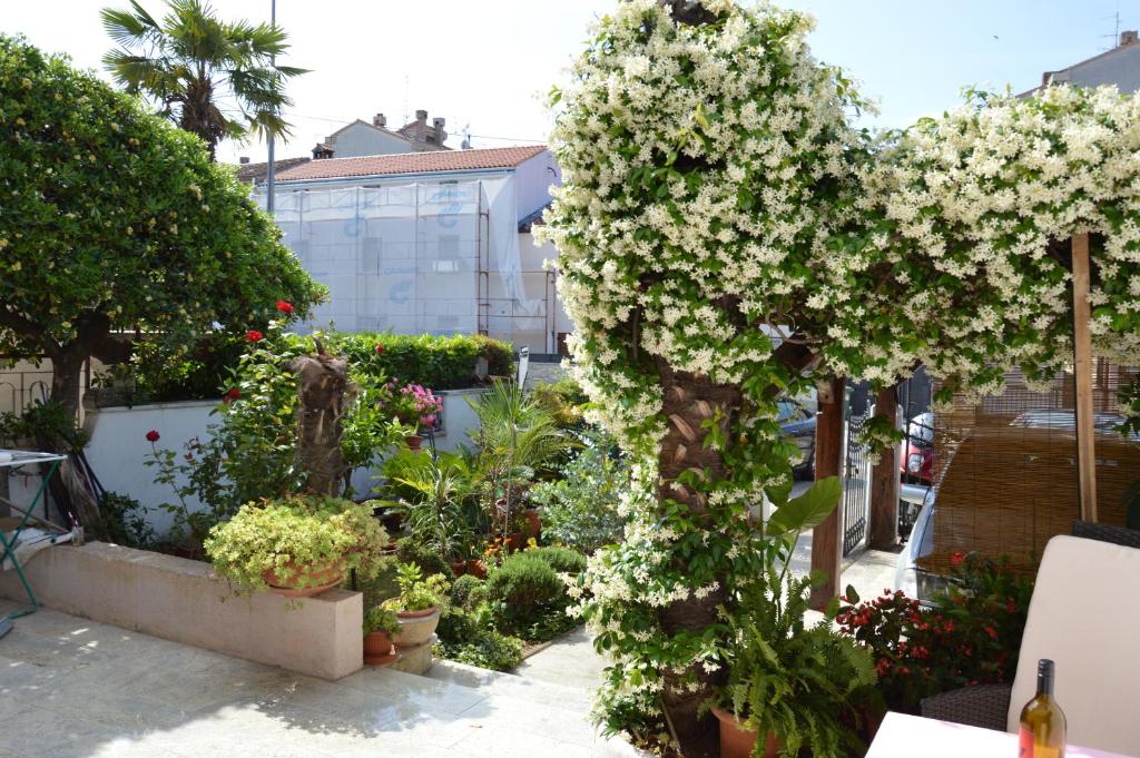 Apartments Zita photo 2