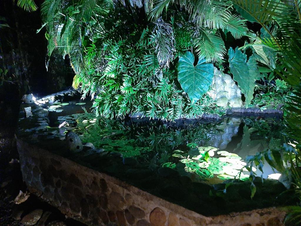 Les Gîtes de la Lézarde photo 4