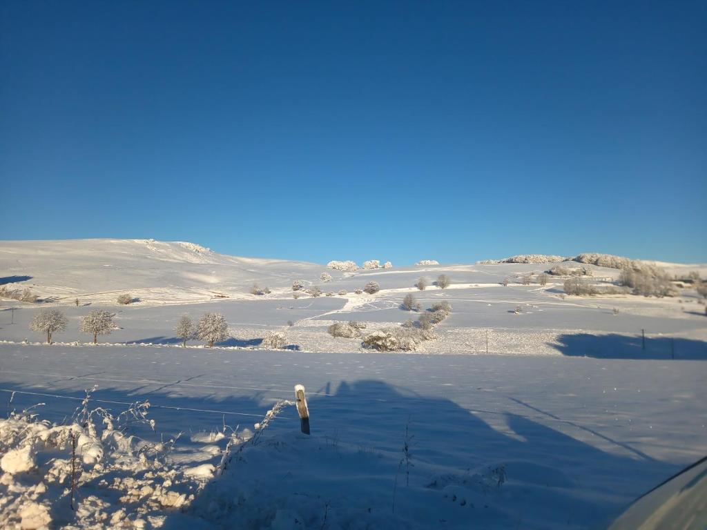 Le petit gîte des 4 saisons photo 2