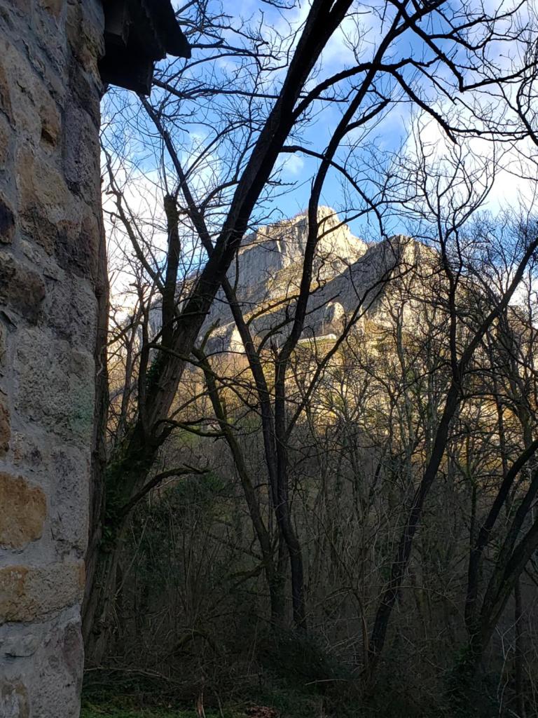 La Cabaña del Río photo 2