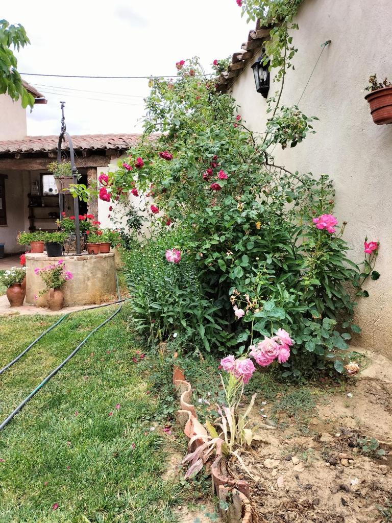 Albergue Don Camino photo 3