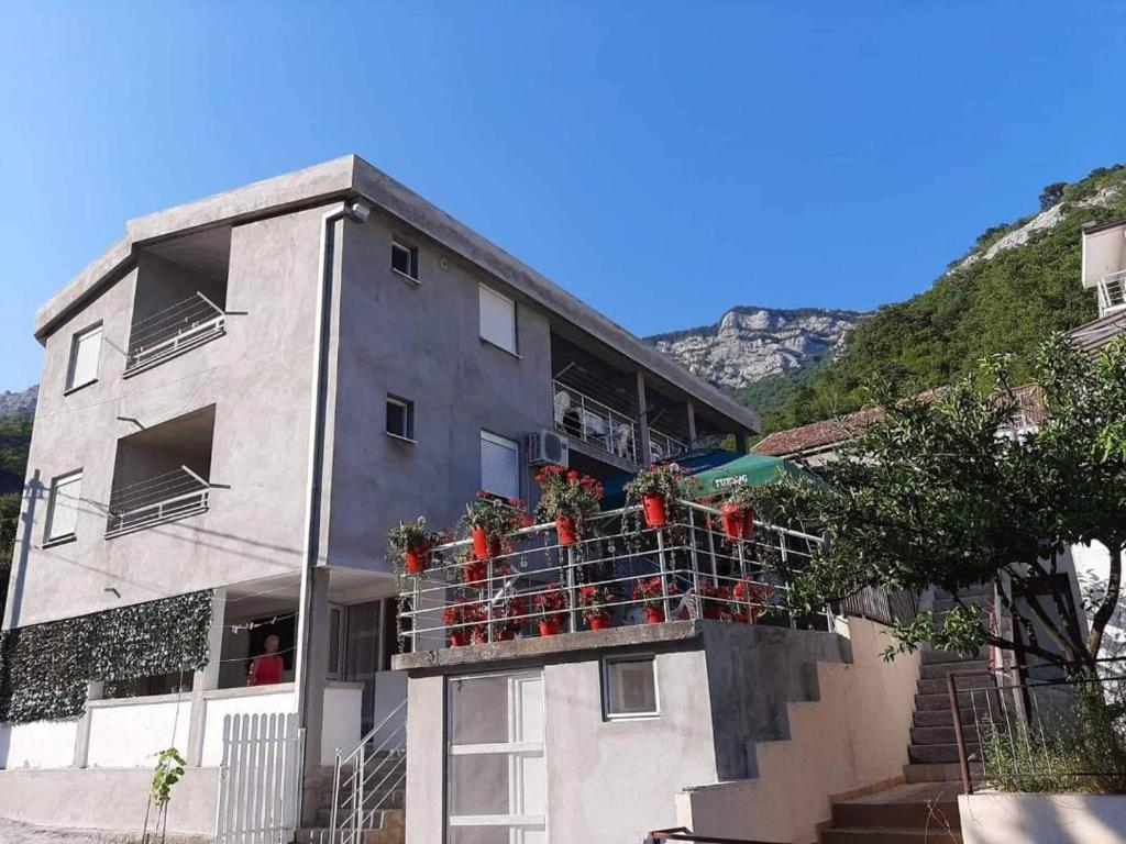 Apartmani Momčilović photo 1