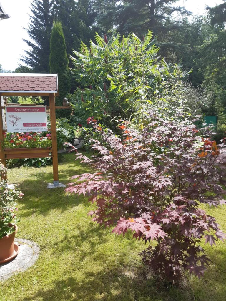 SeidelsFerienparadiesGahlenz photo 3