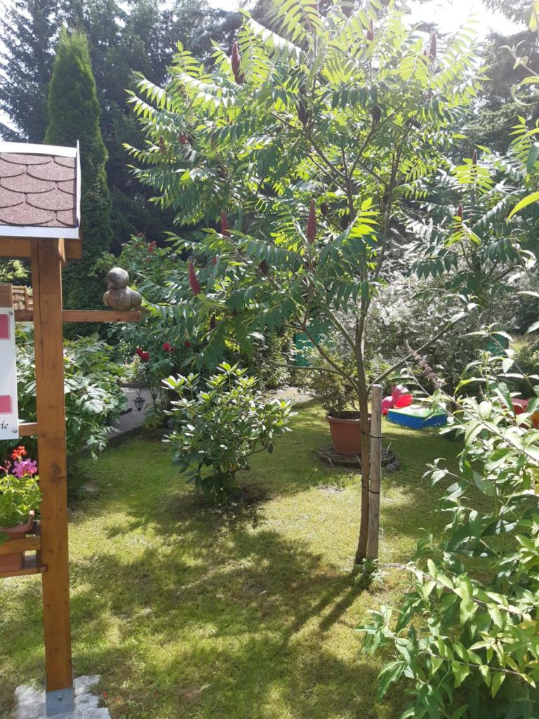 SeidelsFerienparadiesGahlenz photo 2
