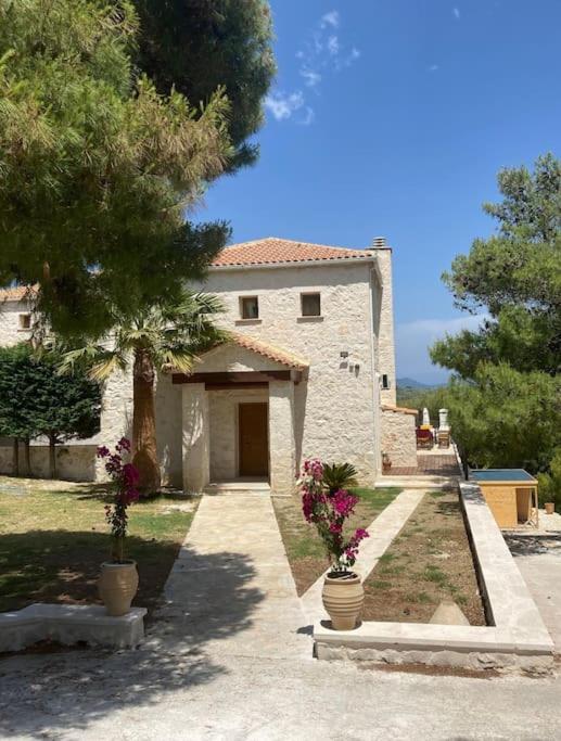 Villa Flora