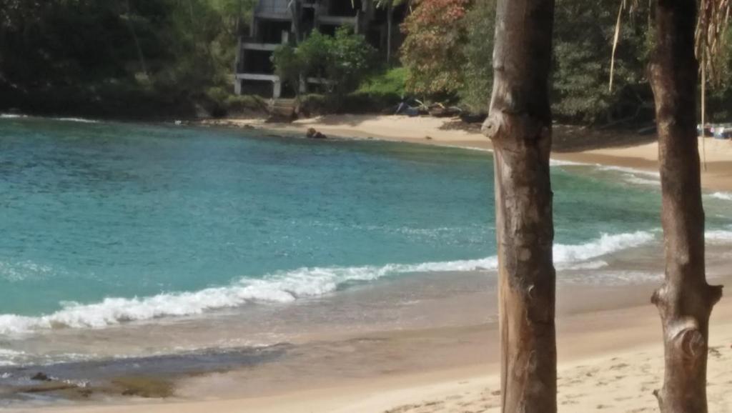 Ocean Dream photo 1