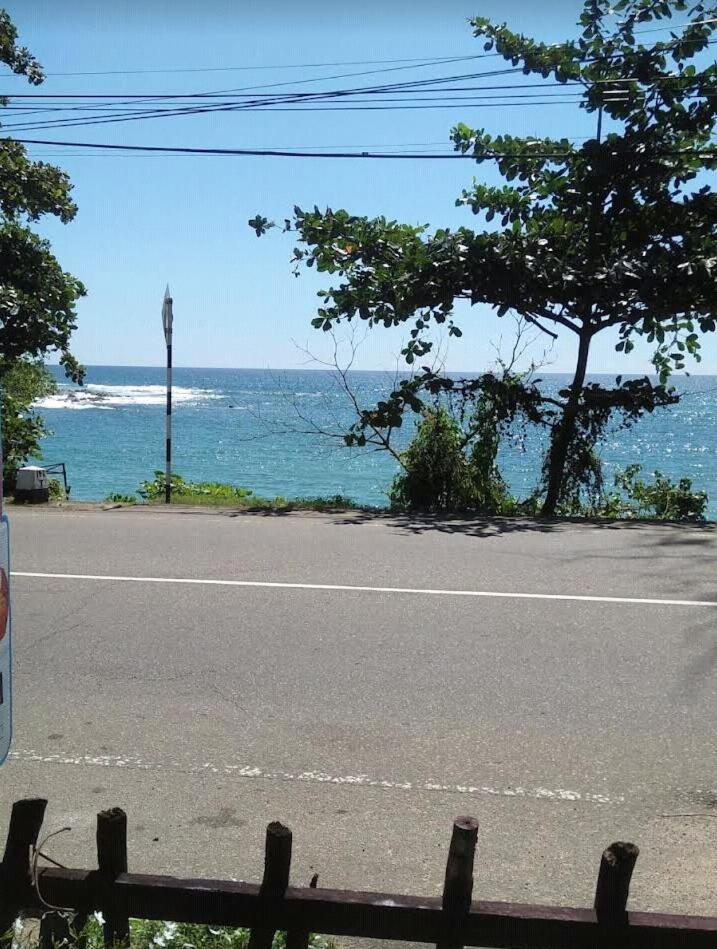 Ocean Dream photo 4