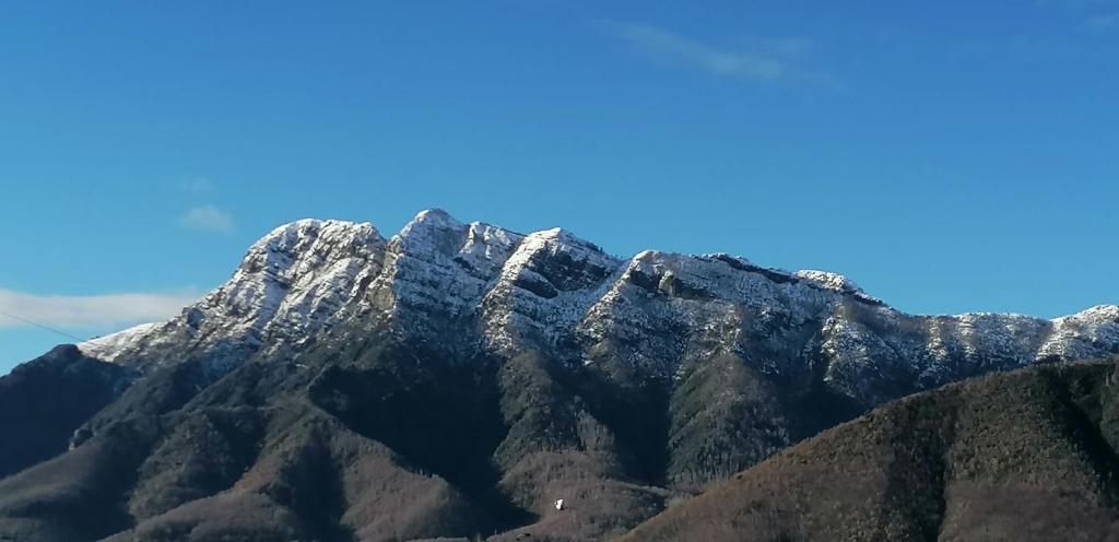 La Torretta Bianca photo 4