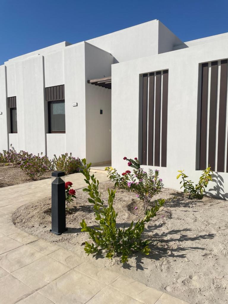Hawana Palm Beach photo 4