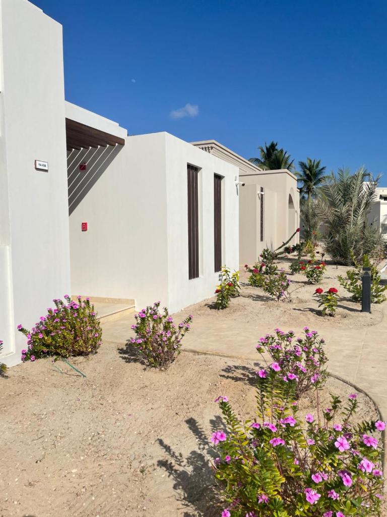 Hawana Palm Beach photo 3