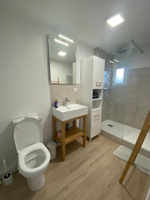 Studio n3 avec place de parking gratuite photo 4