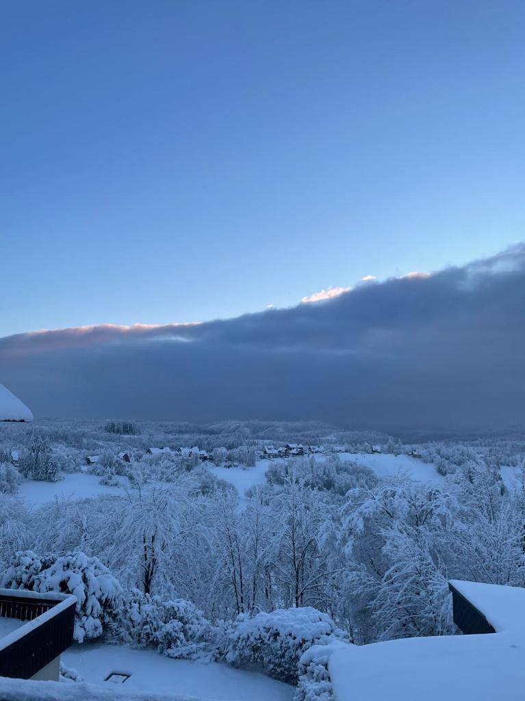 Gemütliche Ferienwohnung Harz Braunlage Hohegeiß photo 1