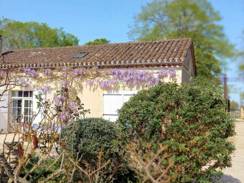 l'Ecurie - La Maïsou photo 1