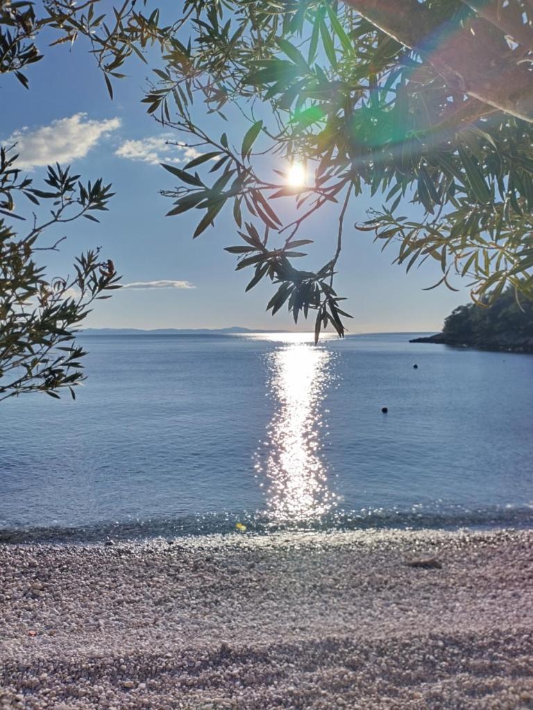 Robinson accommodation and camping spots "Maslina"- cove Skozanje, island Hvar
