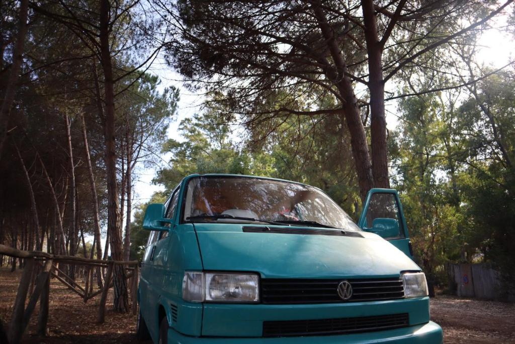 ranavan photo 2