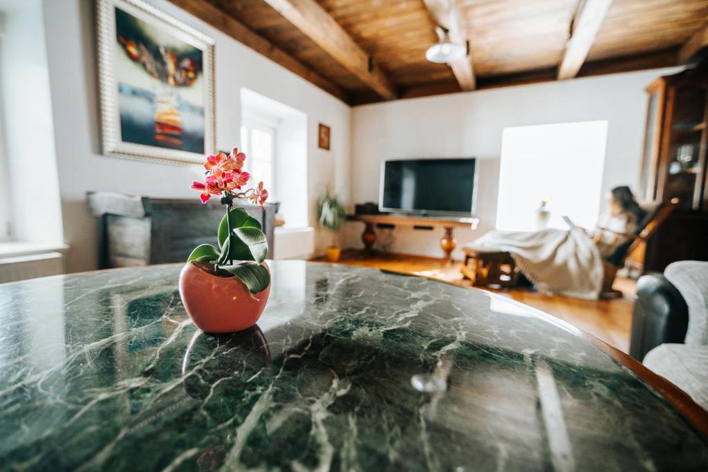 Villa with Sauna - Rustic and Charm Mill Marof photo 2