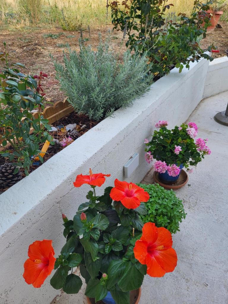 Country Cottage in Dafni, Limni photo 1