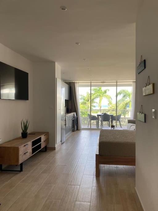 Beau studio vue mer Anse Marcel photo 3