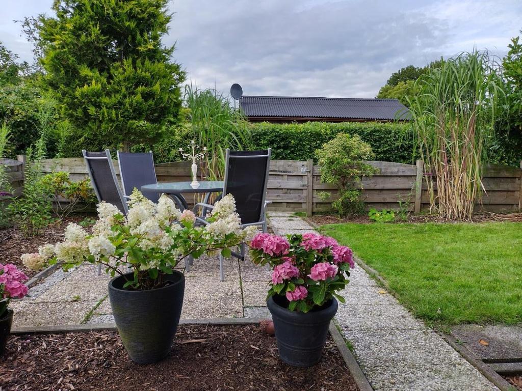 my little cottage photo 4
