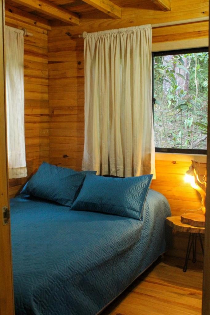 Vital Ecohotel Cabañas photo 4
