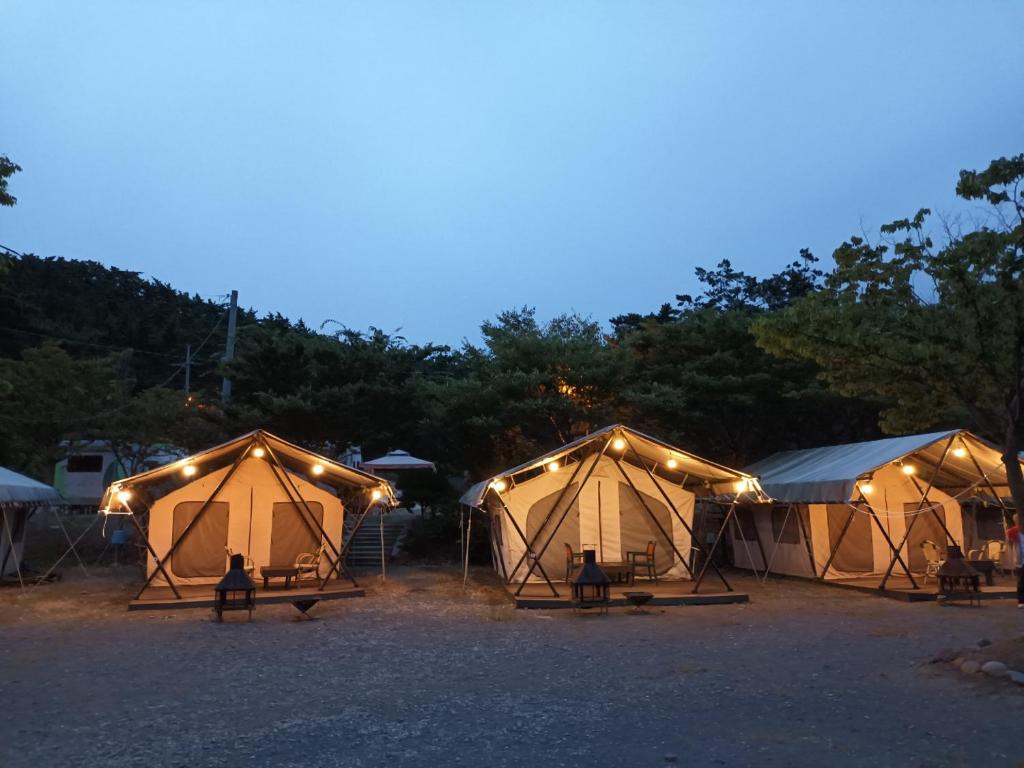Club Lespia in Taean photo 4