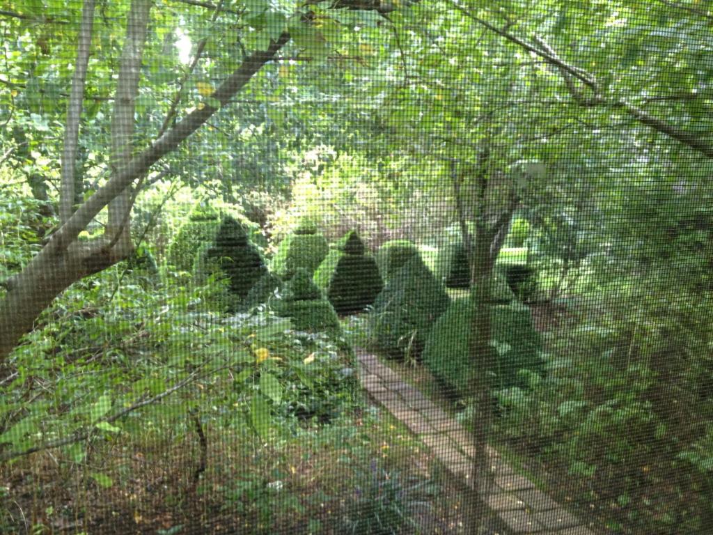 Southdown Cottage photo 1